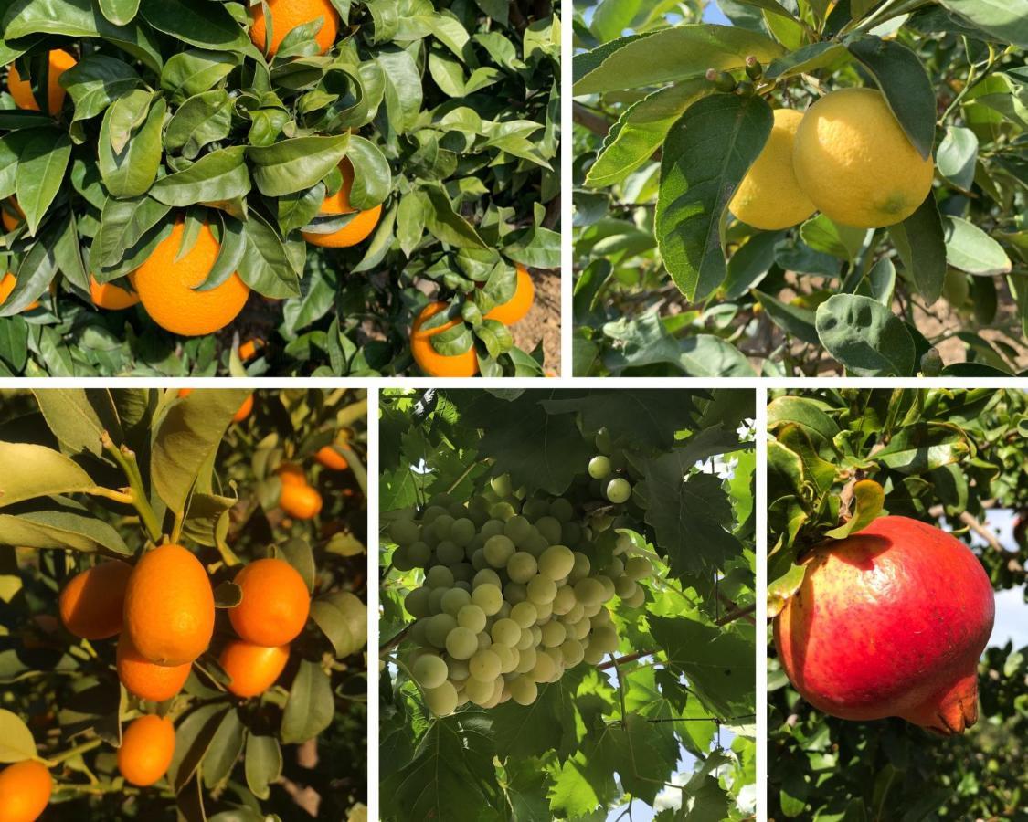 Casa Grande / Rosas Cantares Pizarra Eksteriør bilde