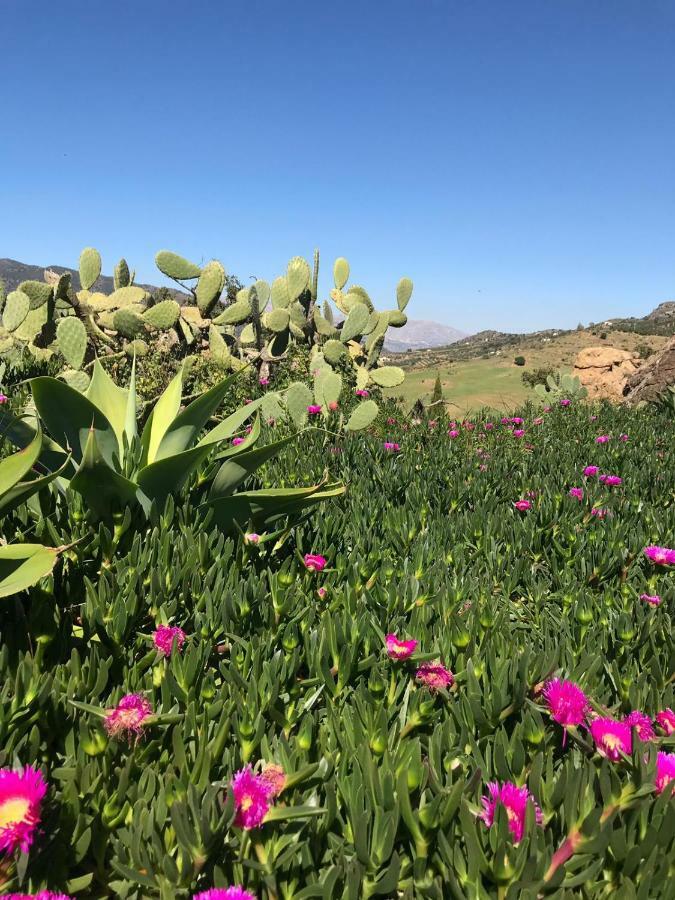 Casa Grande / Rosas Cantares Pizarra Eksteriør bilde